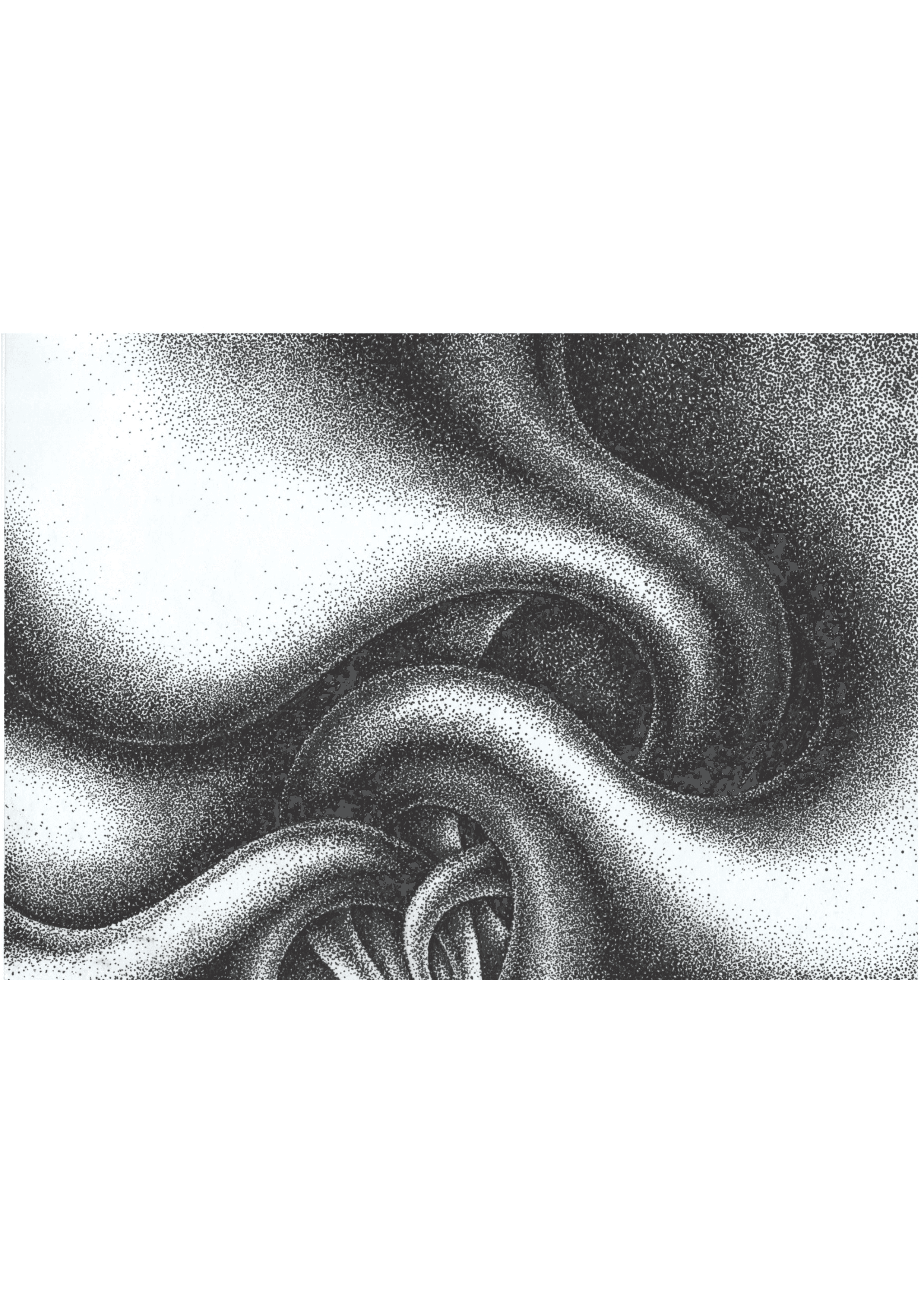 Closed Loop