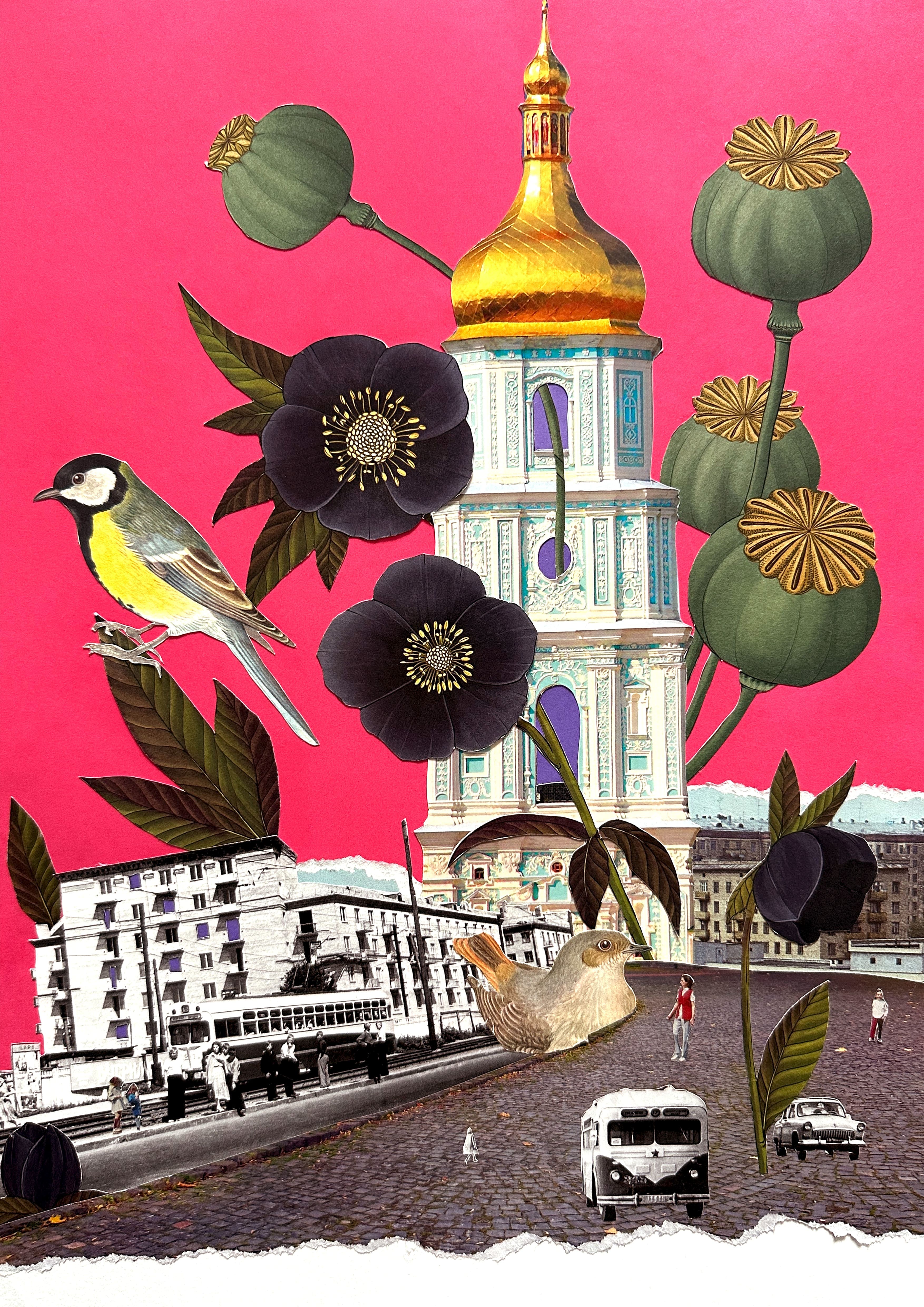 Маковий дзвін / Poppy Bell