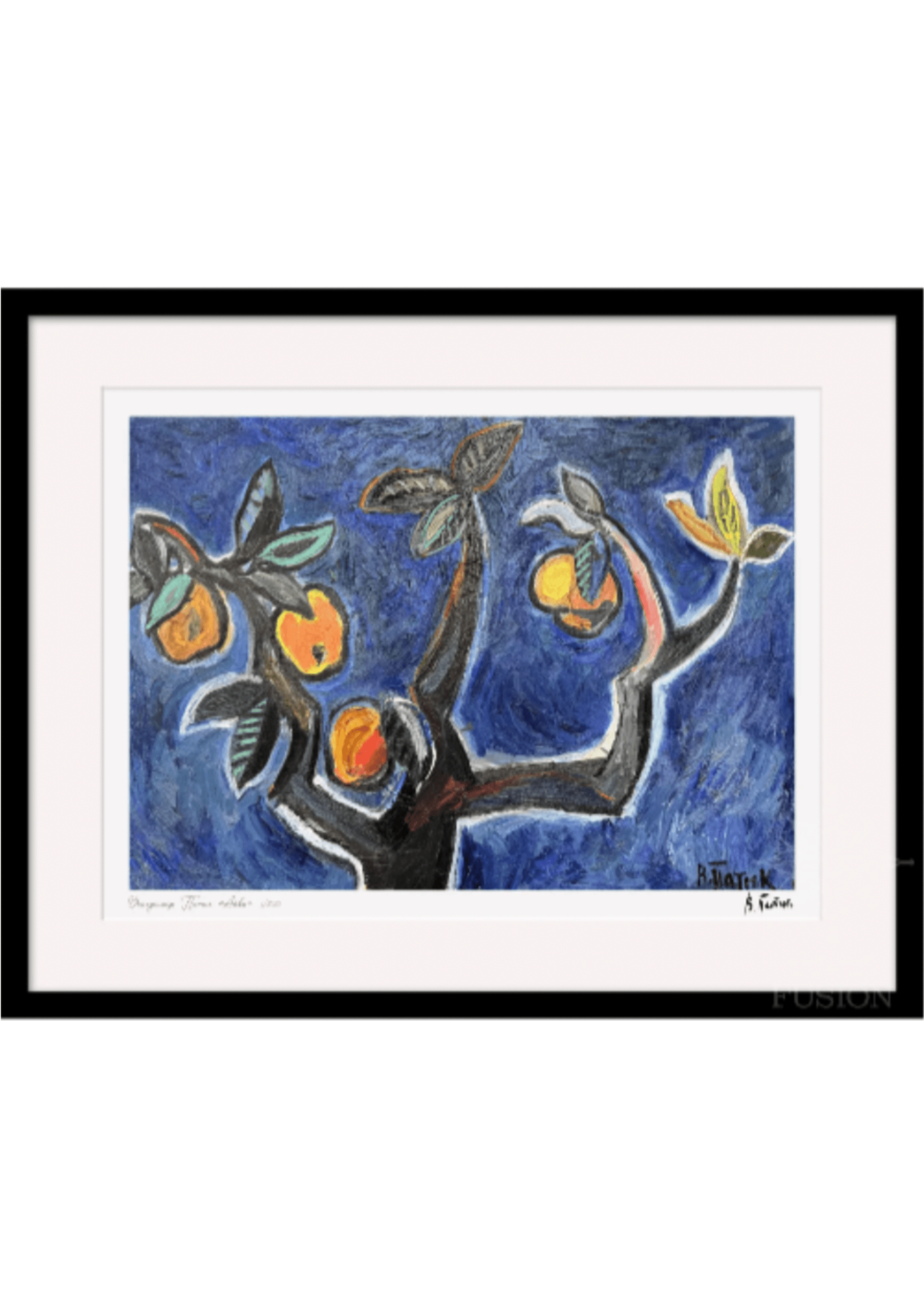 Айва, 1957